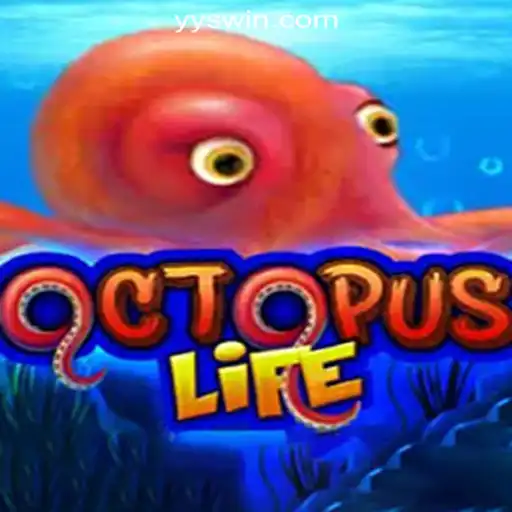 Experience the Thrill of 